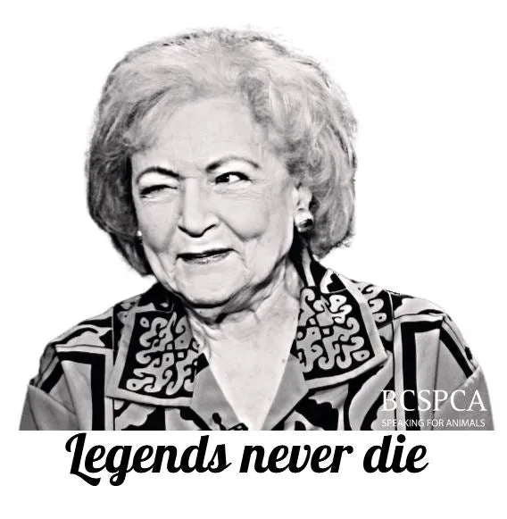 Legends Never Die, Betty White Shirt - Unisex T-shirt