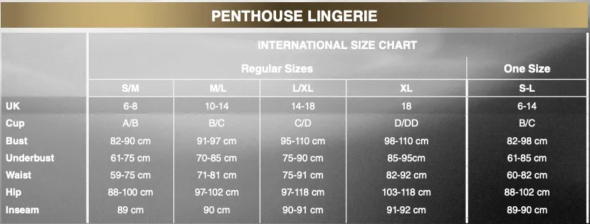 Penthouse - All Yours Mesh Lace Bastier Dress with Thong Chemise