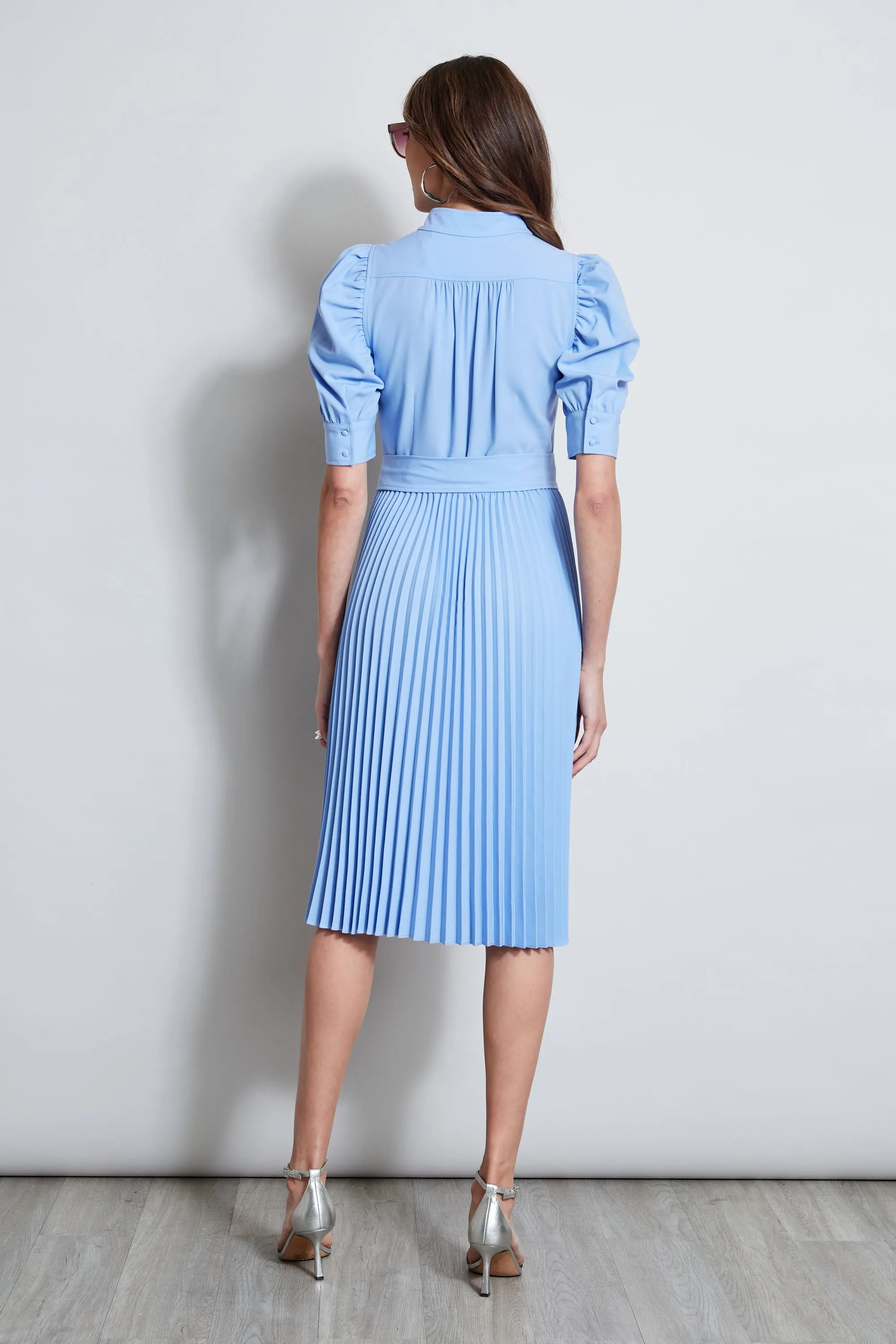 Pleated Ruched Sleeve Dress