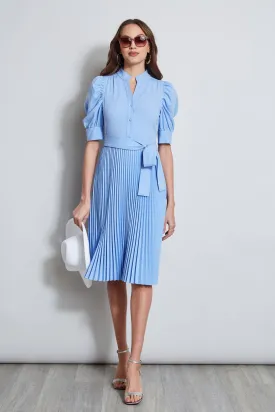 Pleated Ruched Sleeve Dress